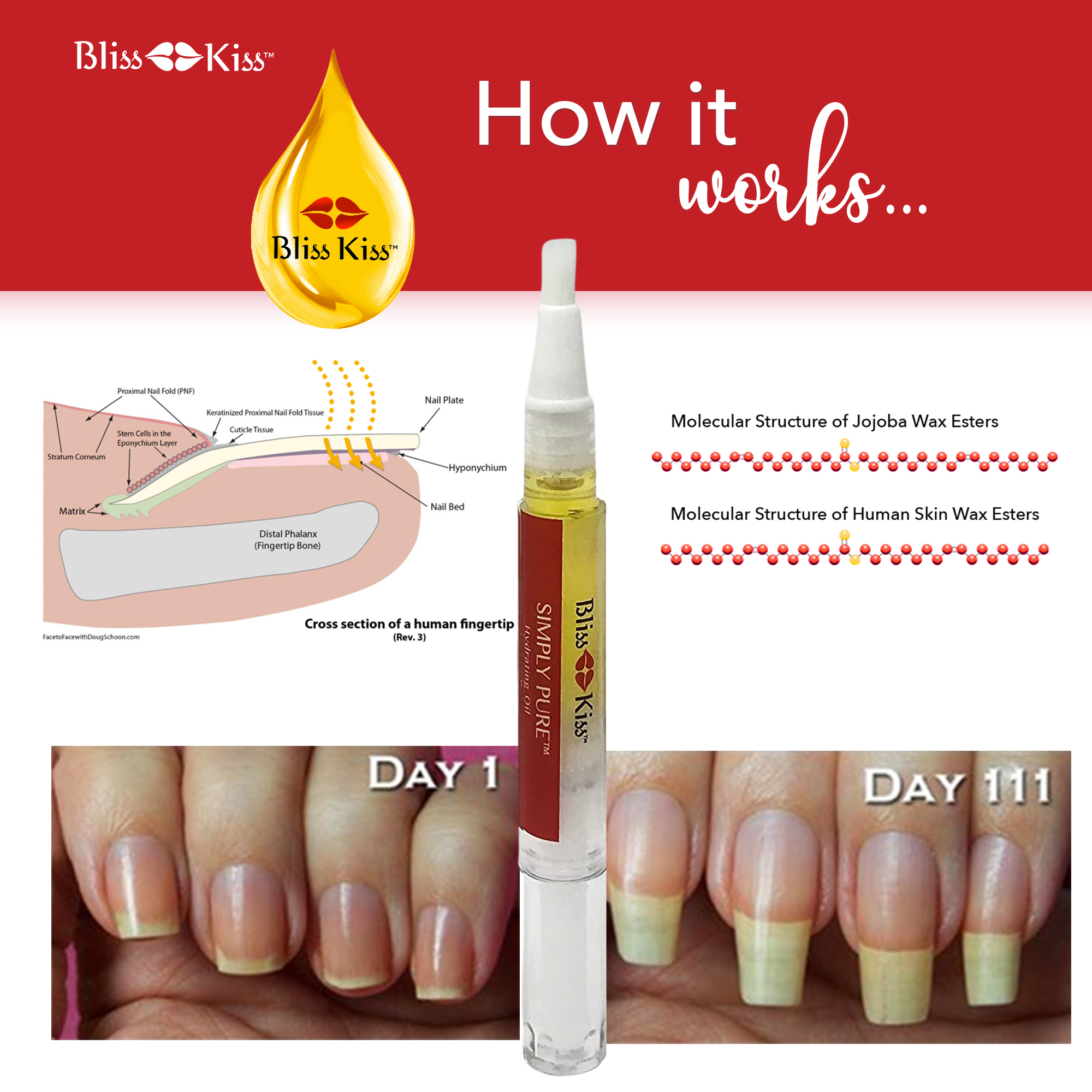 how-simply-pure-works copy 2