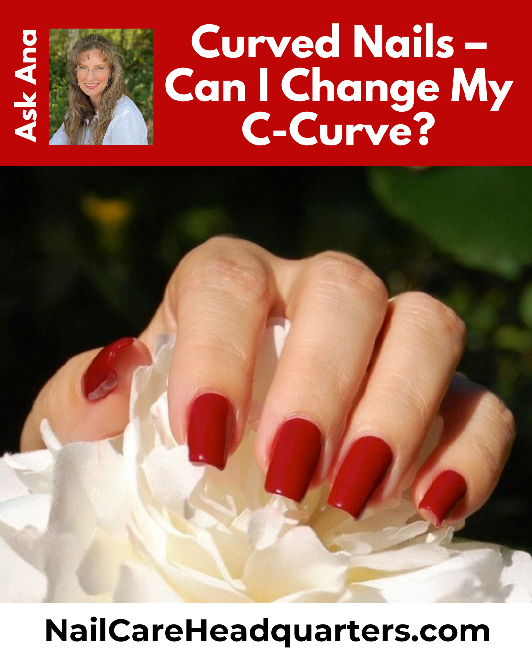 C-Curve Website Image